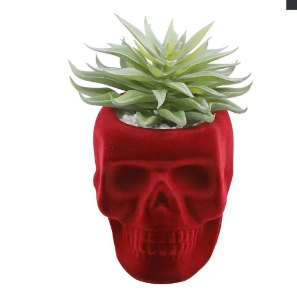 FLORA BUNDA Flocked Velvet Skull Planter with Artificial Succulent
